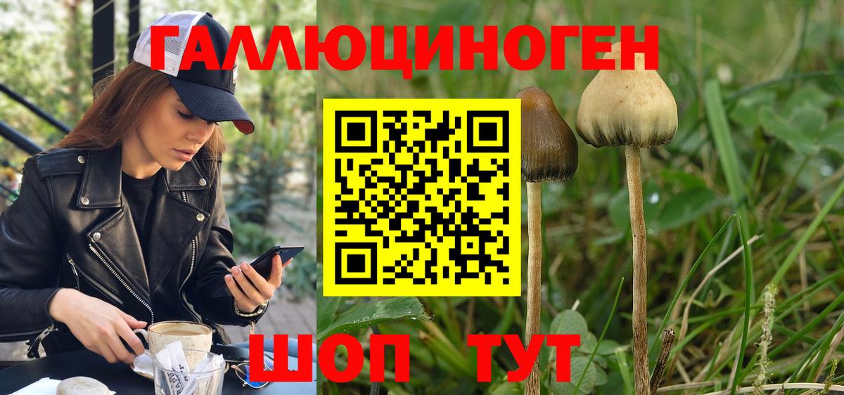 Шахты  купить наркотик  Псилоцибиновые грибы ЛСД  Вход с VPN  Псилоцибиновые грибы прущие грибы 