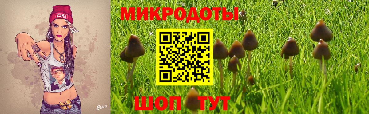 Псилоцибиновые грибы мухоморы Шахты